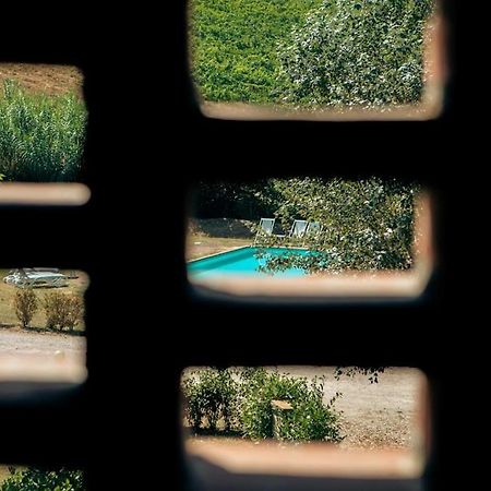 Fienile Panoramico Nel Chianti Villa Greve in Chianti Ngoại thất bức ảnh